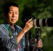 91 麻豆 天美 果冻 星空-当夜幕降临，星空下的奇妙邂逅——记一次难忘的91麻豆天美果冻之旅