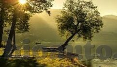娇艳人妻-娇艳人妻，生活中的一抹独特风景