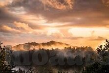 免费成人黄色视频网站-平台，网络世界的灰色地带