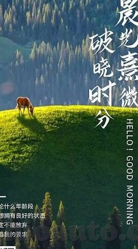 糖心vlog传媒-糖心Vlog传媒，记录生活，塑造时代影像的璀璨新星
