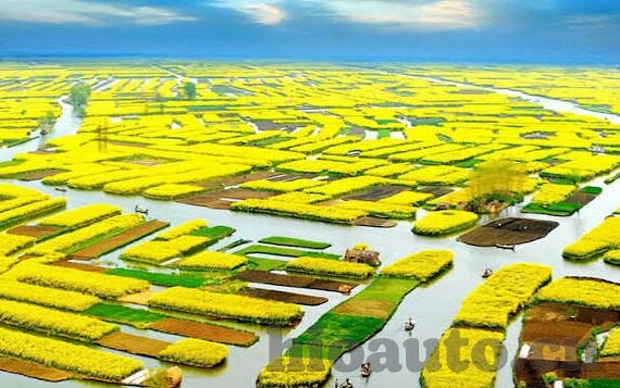 中文字幕乱偷在线视频-探索网络视频的多元体验，中文字幕与在线视频的巧妙融合